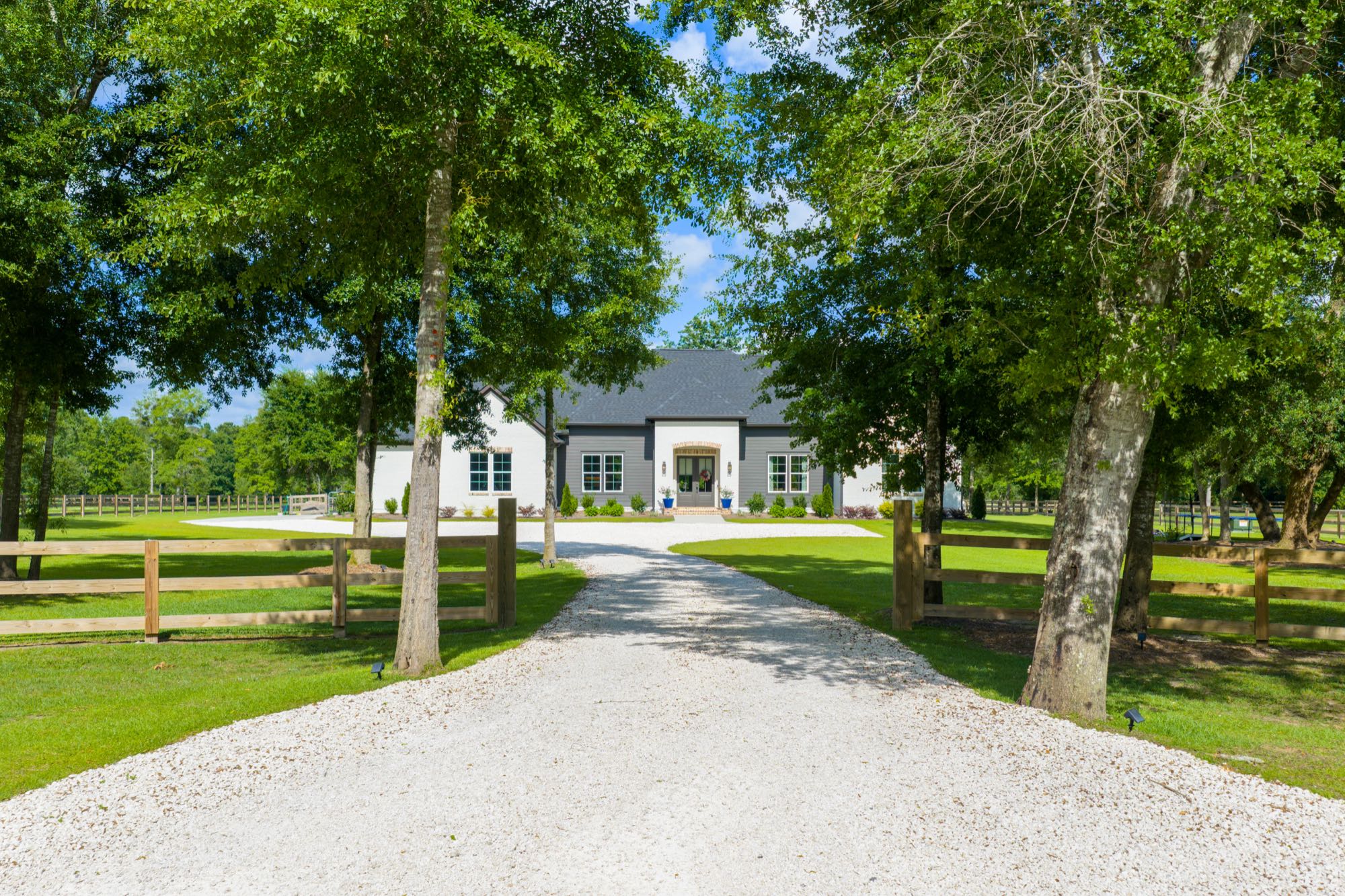 Long oak-lined driveway leading to a modern farmhouse estate